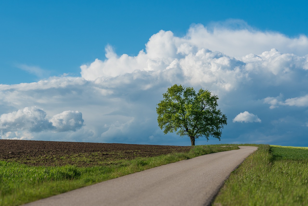 découvrez des conseils essentiels pour améliorer la sécurité routière, réduire les accidents et assurer la protection de tous les usagers de la route. suivez nos recommandations pour adopter des comportements responsables et prévenir les risques.